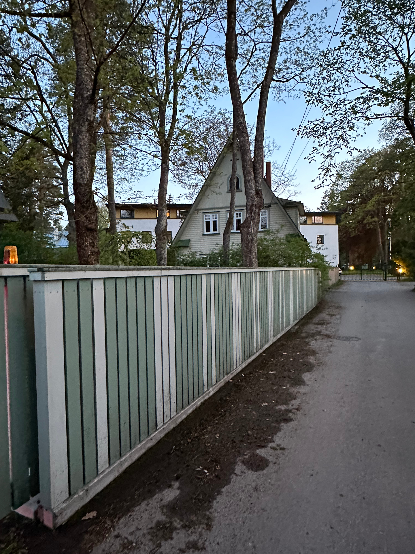 Puitaia survepesu Tallinnas